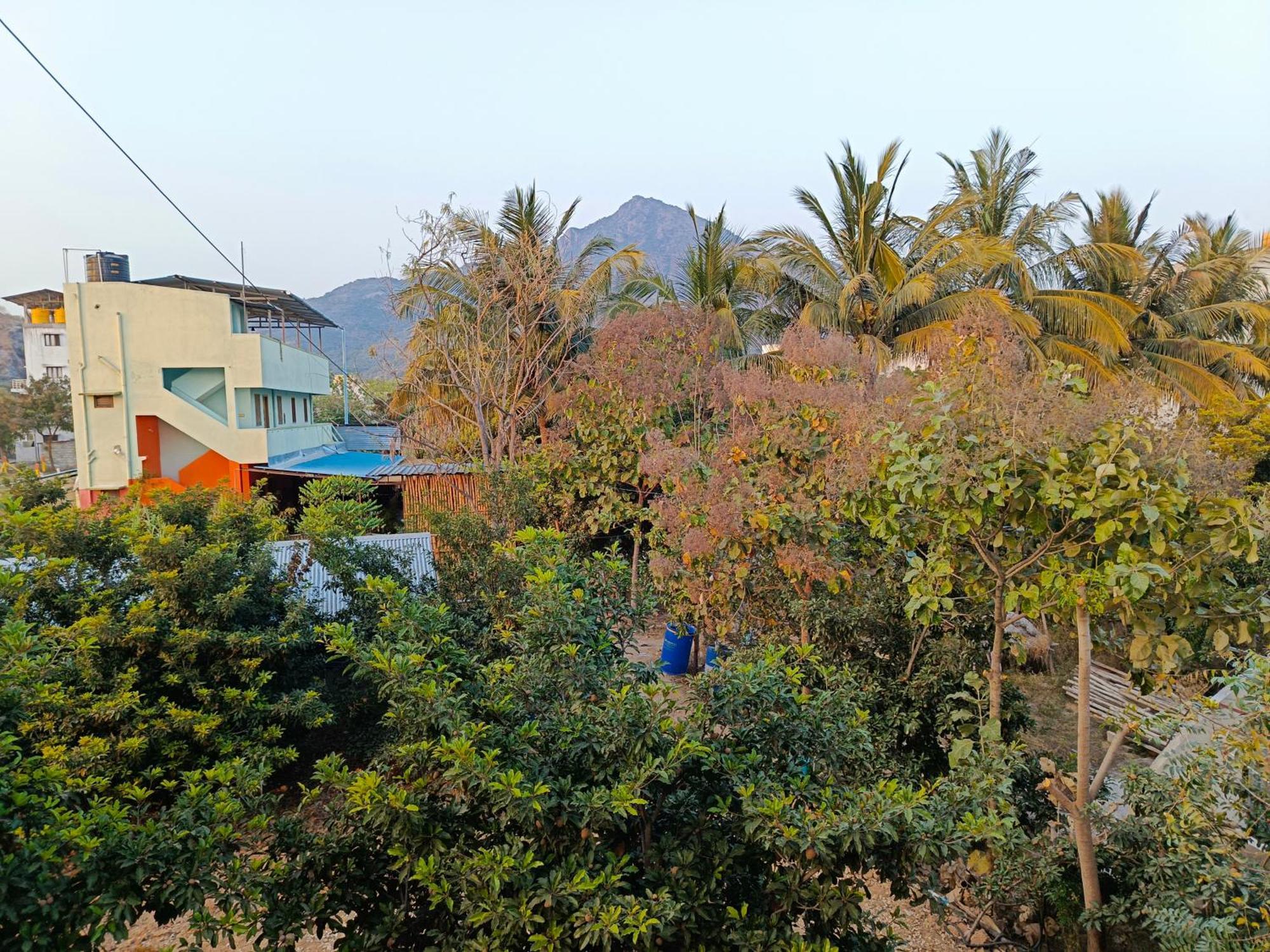 Abaranji Guest House Tiruvannāmalai المظهر الخارجي الصورة